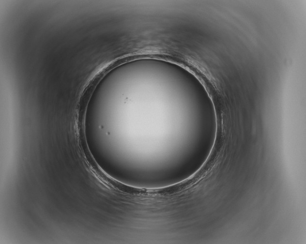 X0000113301452200909211111