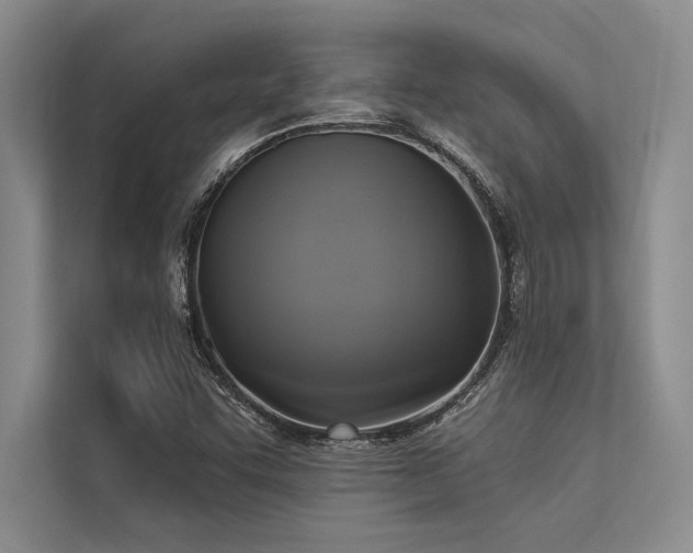 X0000113301455200909211111