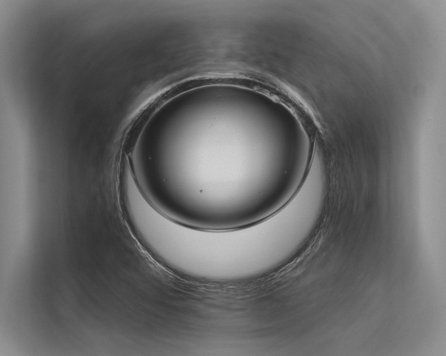 X0000113301456200909211111