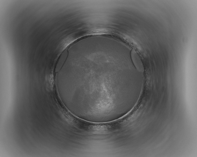 X0000113301457200909211111