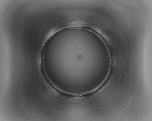 X0000113301459200909211111