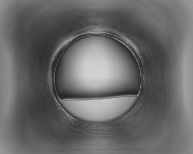 X0000113301464200909211111