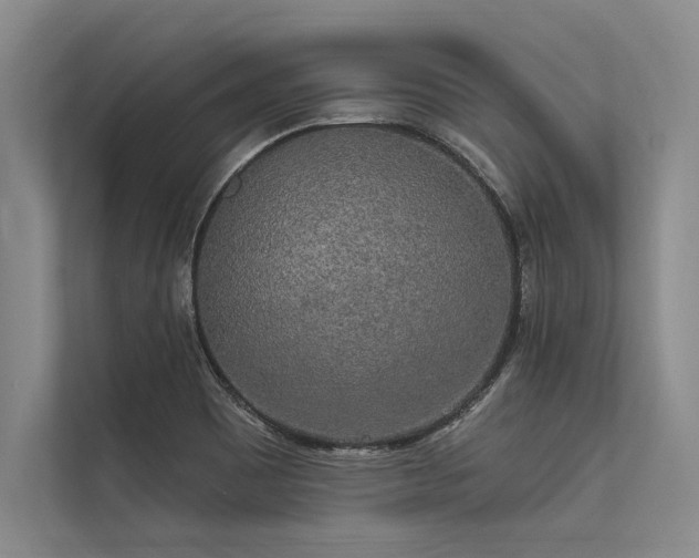 X0000113301465200909211111