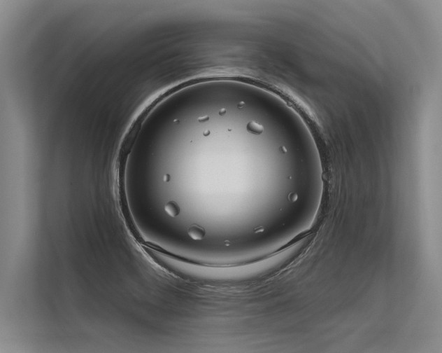 X0000113301468200909211111