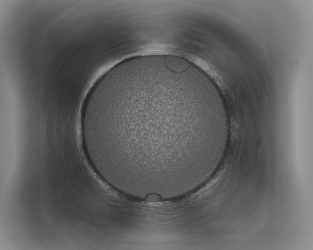 X0000113301469200909211111