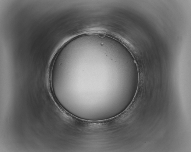 X0000113301470200909211111