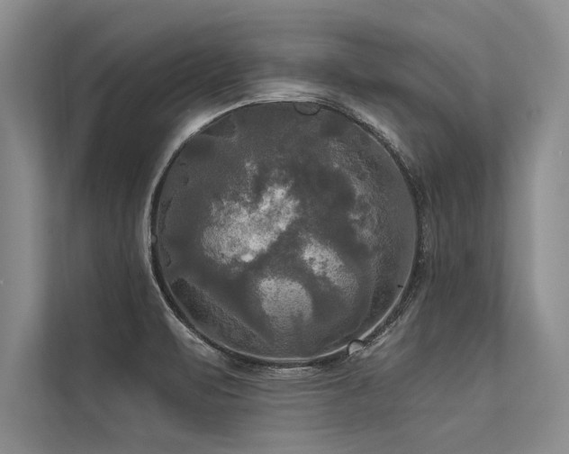 X0000113301471200909211111