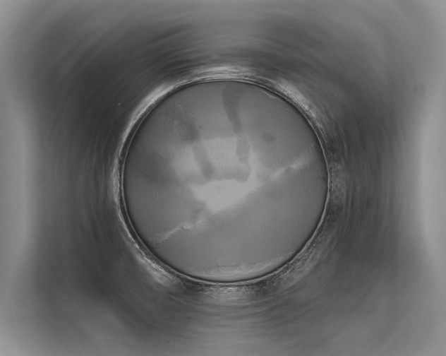 X0000113301474200909211111