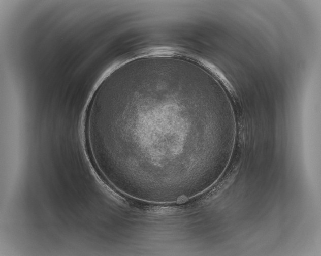 X0000113301475200909211111