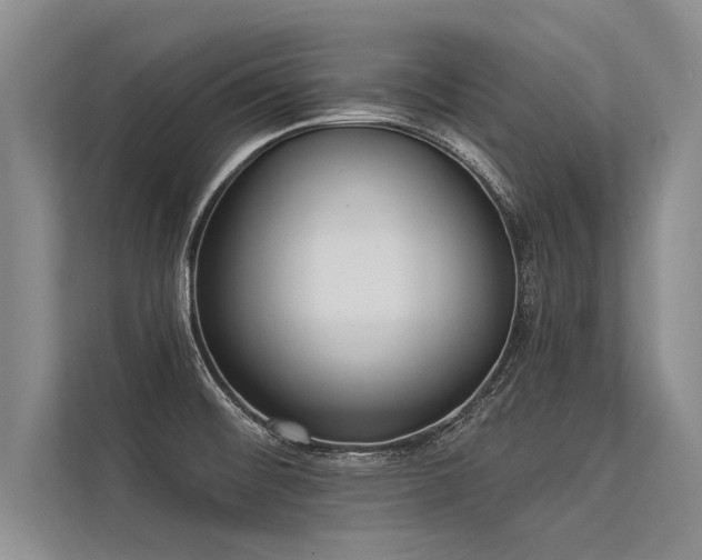 X0000113301476200909211111