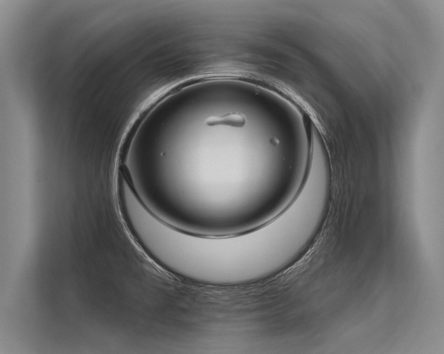 X0000113301477200909211111