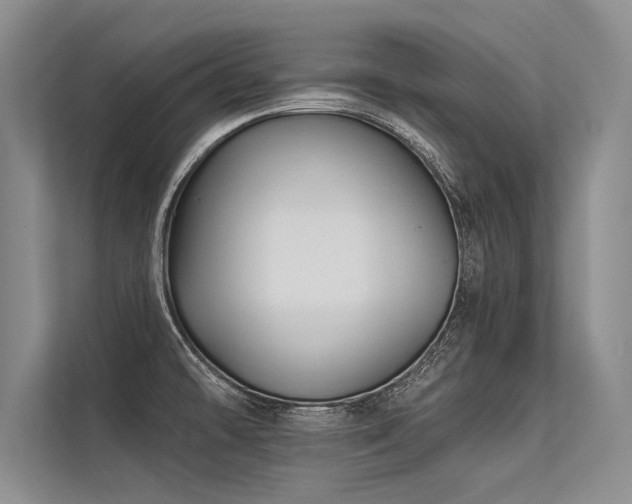 X0000113301478200909211111