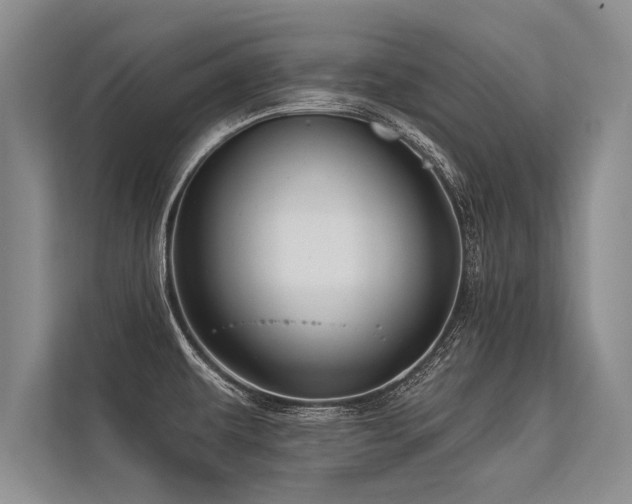 X0000113301479200909211111