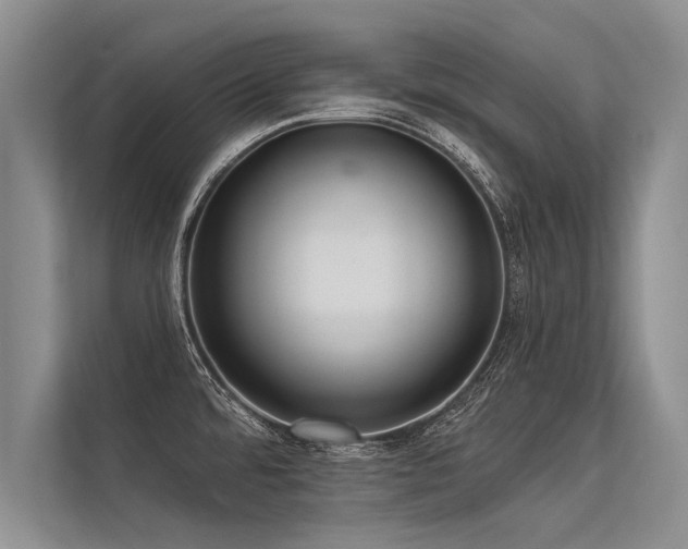 X0000113301480200909211111