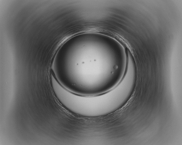 X0000113301481200909211111