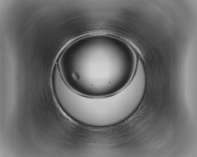 X0000113301484200909211111