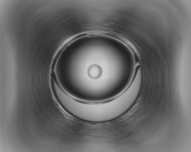 X0000113301485200909211111