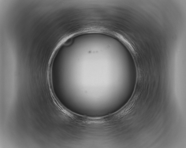 X0000113301486200909211111