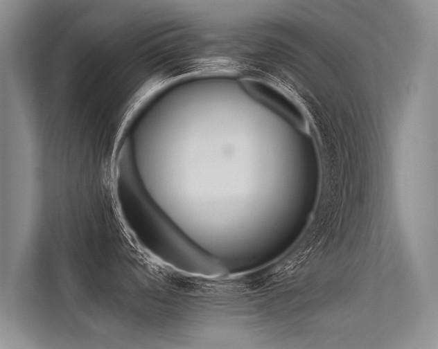 X0000113301488200909211111