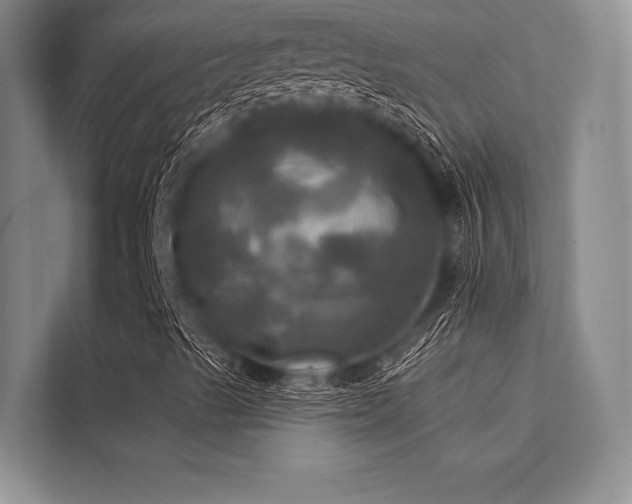 X0000113301489200909211110