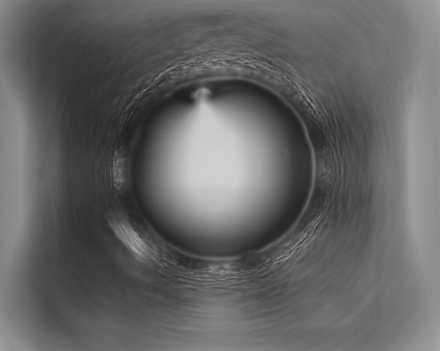 X0000113301490200909211110