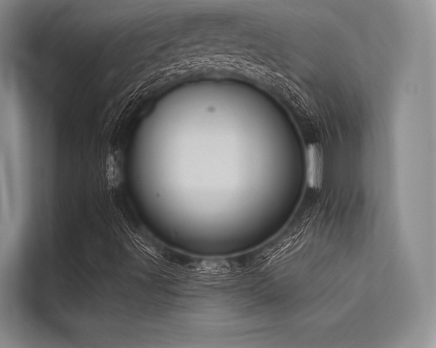 X0000113301491200909211110