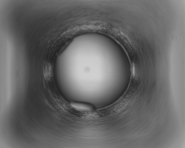 X0000113301492200909211110