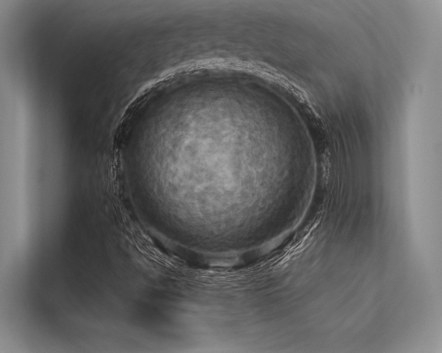 X0000113301494200909211110