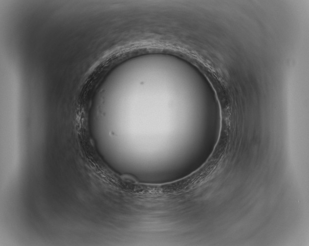 X0000113301495200909211110