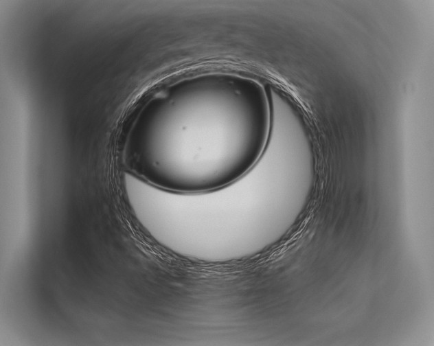 X0000113301496200909211110