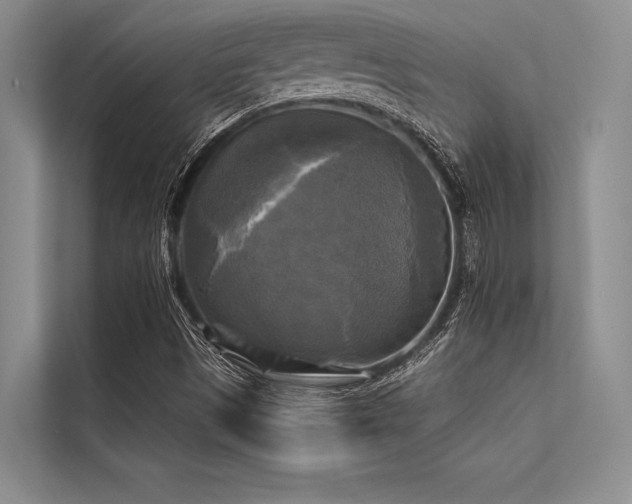 X0000113301497200909211110