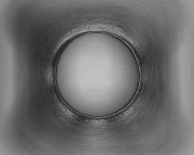 X0000113301498200909211110