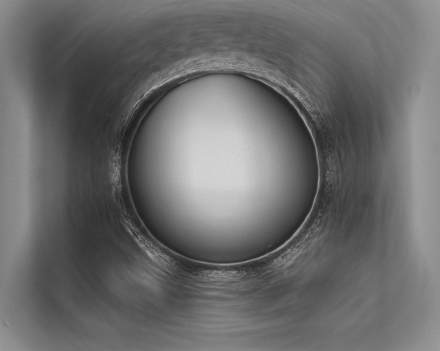 X0000113301499200909211110