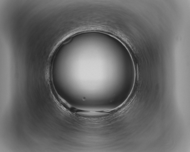 X0000113301500200909211110