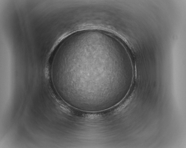 X0000113301501200909211110