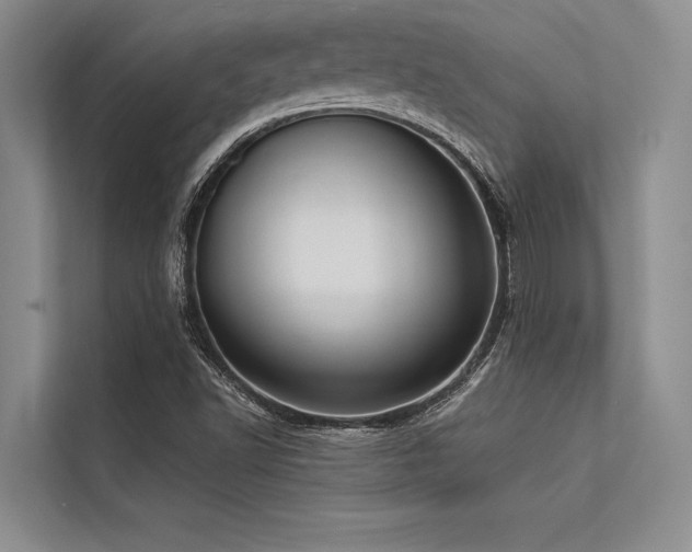 X0000113301502200909211110