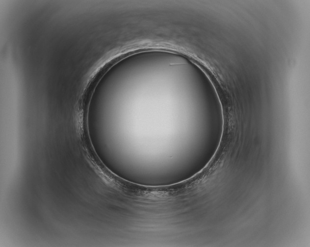 X0000113301503200909211110