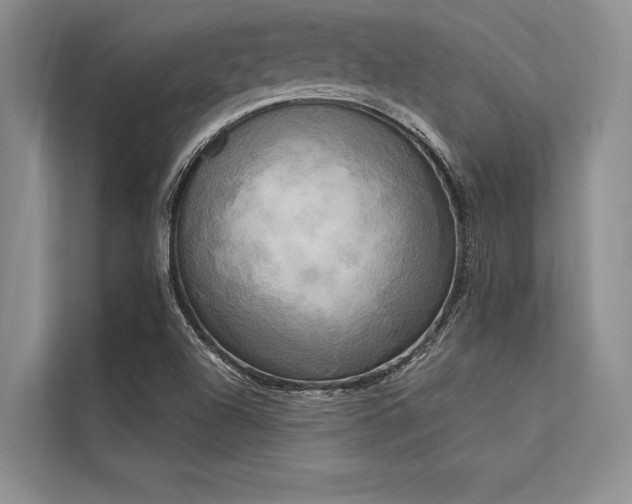 X0000113301504200909211110