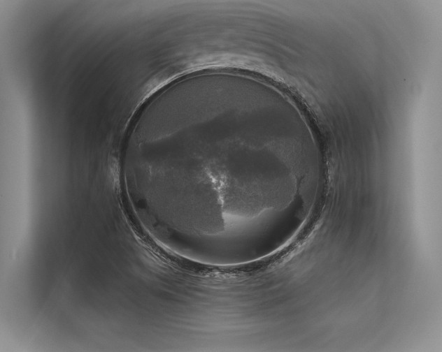 X0000113301505200909211110