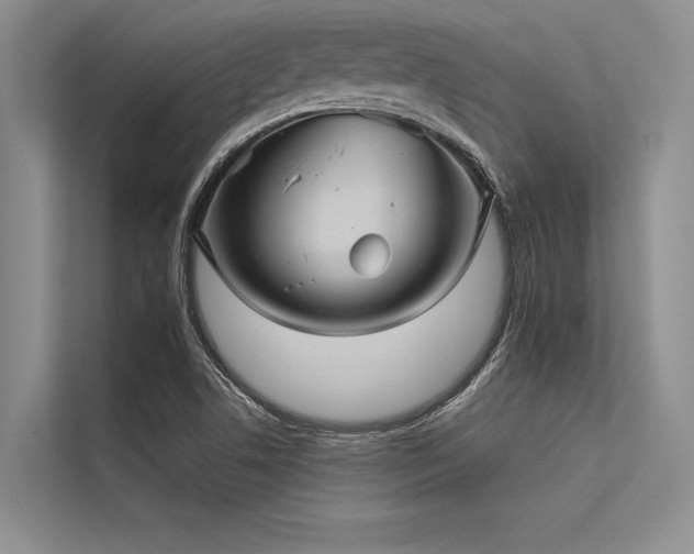 X0000113301506200909211110