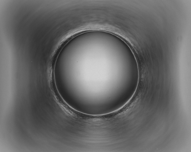 X0000113301507200909211110