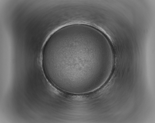 X0000113301508200909211110