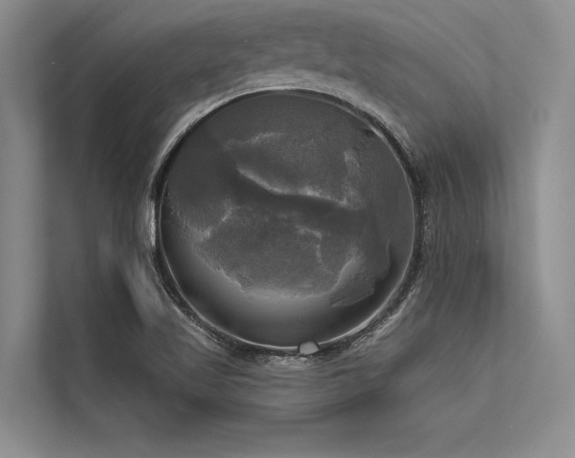 X0000113301509200909211110