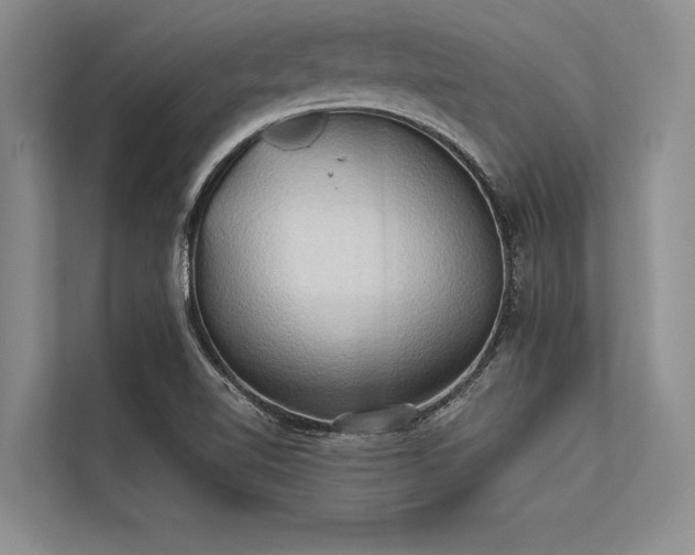 X0000113301510200909211110