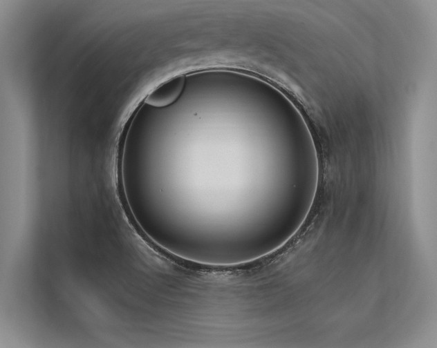 X0000113301512200909211110