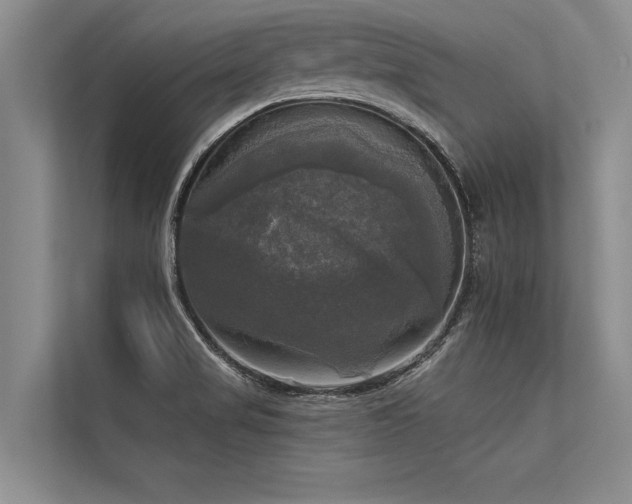 X0000113301517200909211110