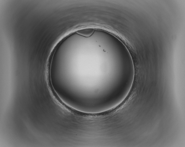 X0000113301518200909211110