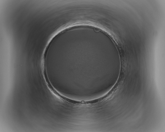 X0000113301519200909211110