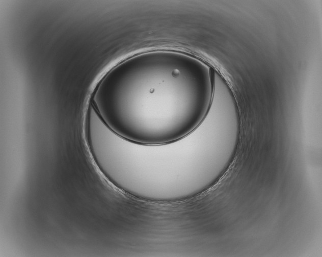 X0000113301520200909211110