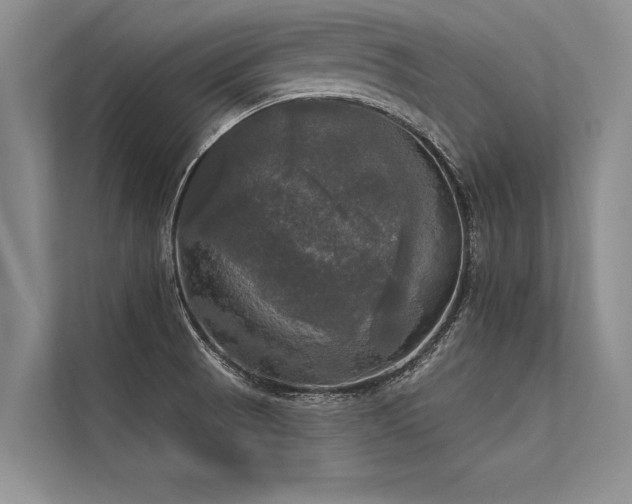 X0000113301521200909211110